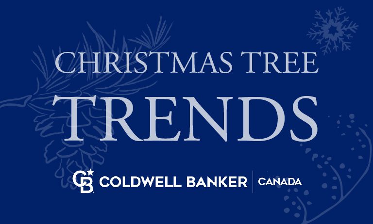 Blue blog banner that says 'Christmas Tree Trends' and the Coldwell Banker Canada logo