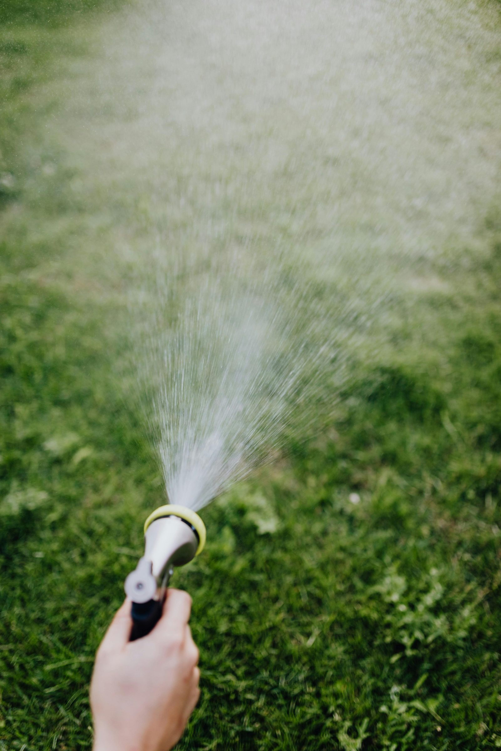 watering grass