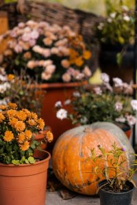 fall outdoor decor