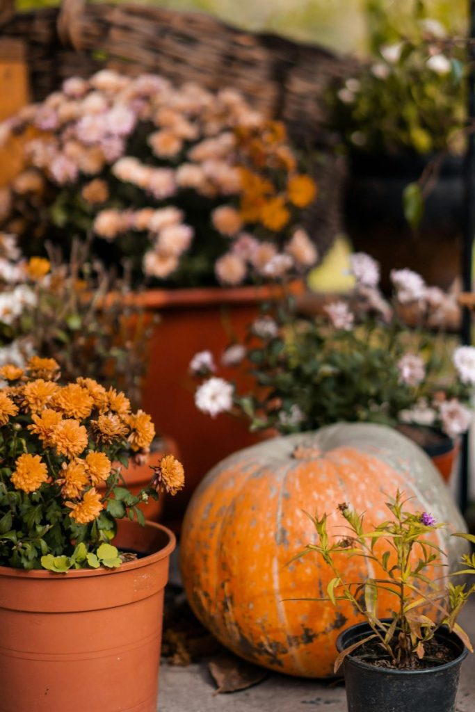 fall outdoor decor