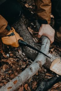 blog cutting branches