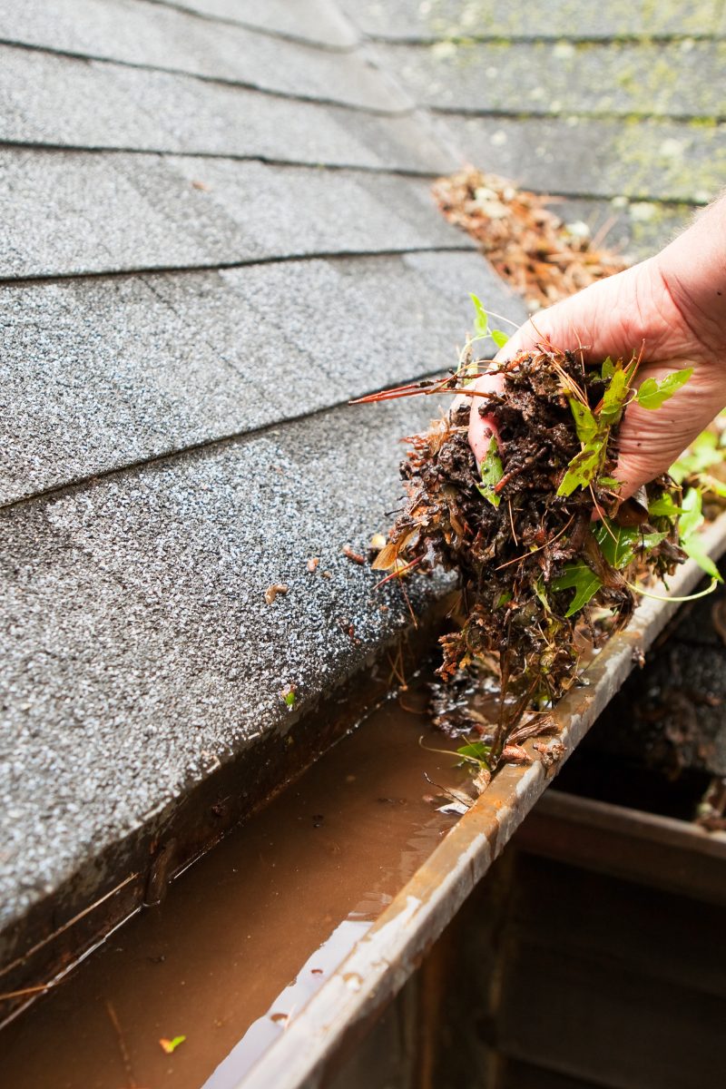 blog - cleaning gutters