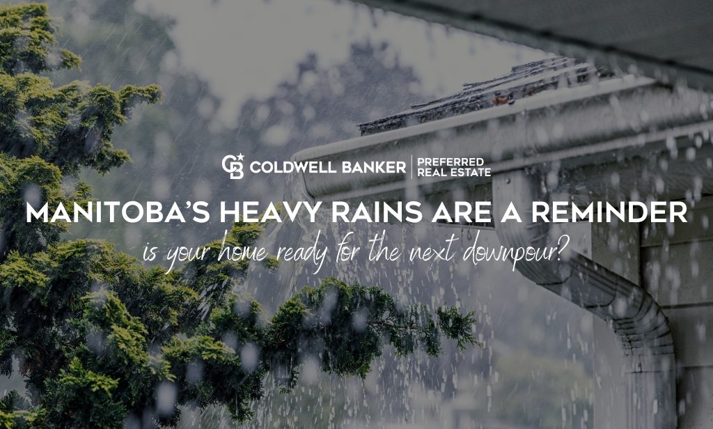 blog - rain
