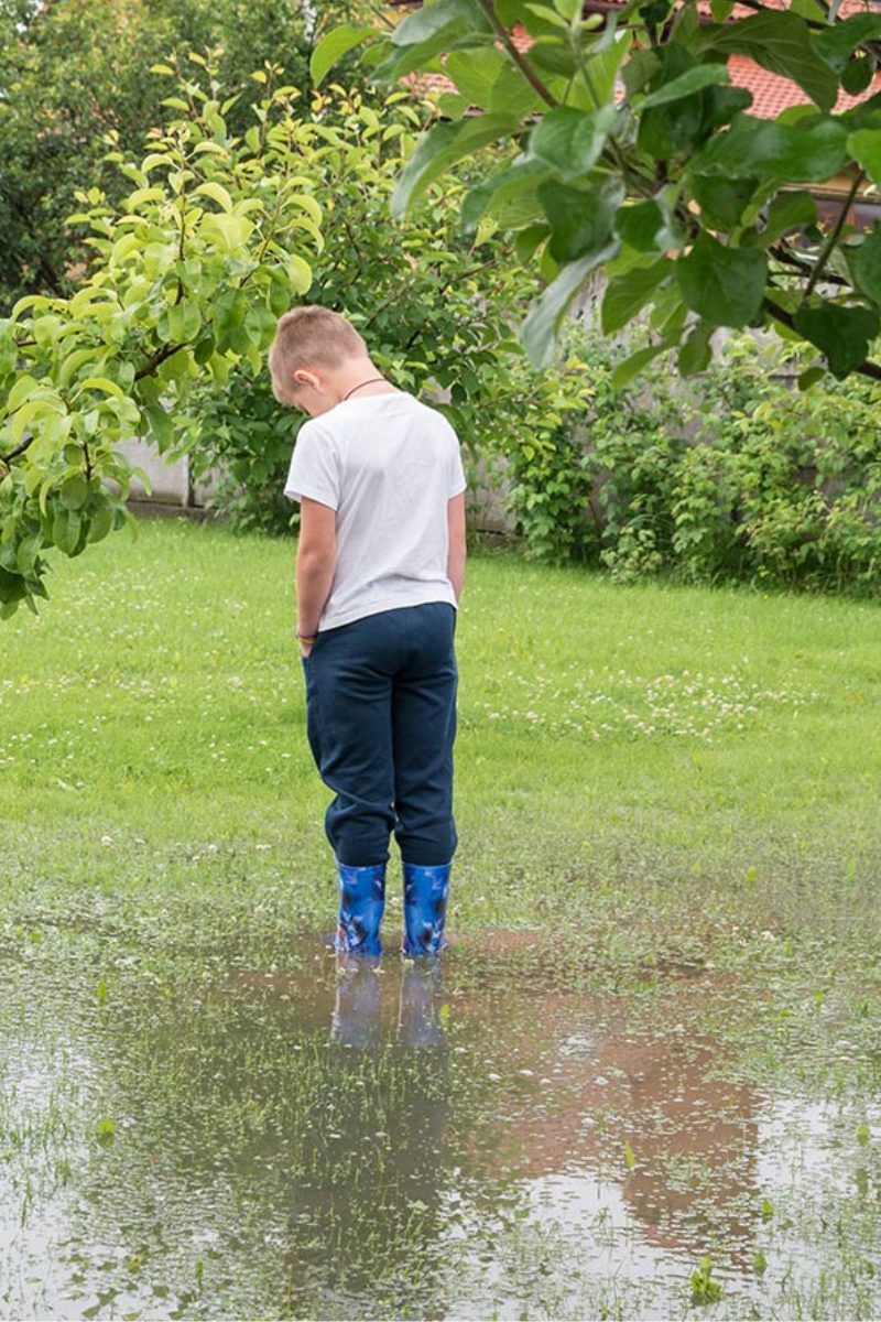 blog yard puddles